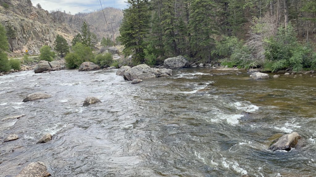 Mountain stream with trees.